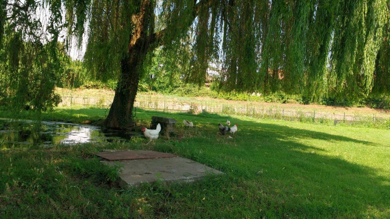 Agriturismo Cascina Poscallone Абиатеграсо Екстериор снимка
